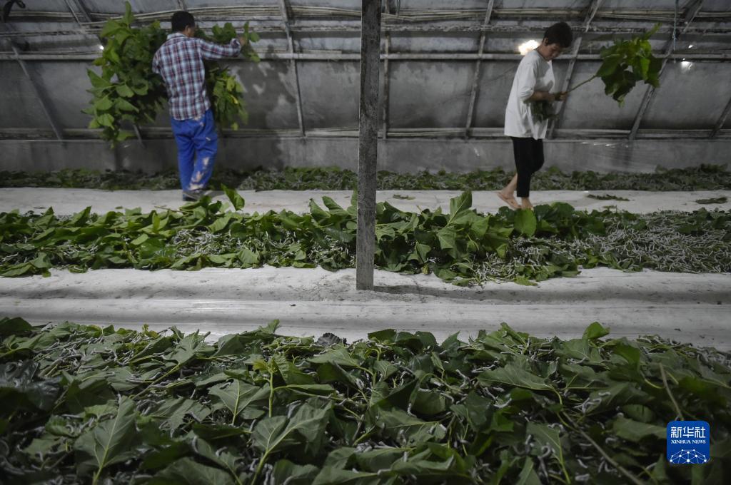 太阳城游戏城