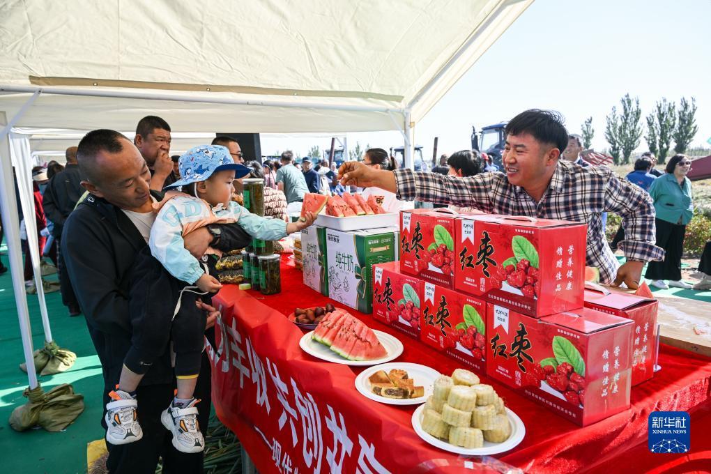 云顶真金下载