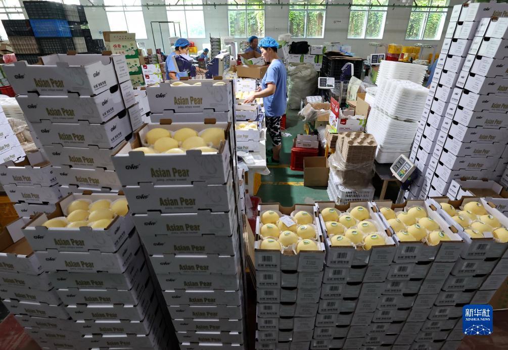 火凤游戏平台
